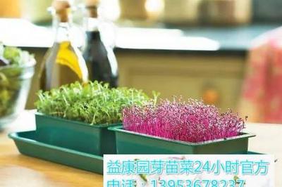 多媒体技术研发 驱动数字时代创新与应用的新引擎